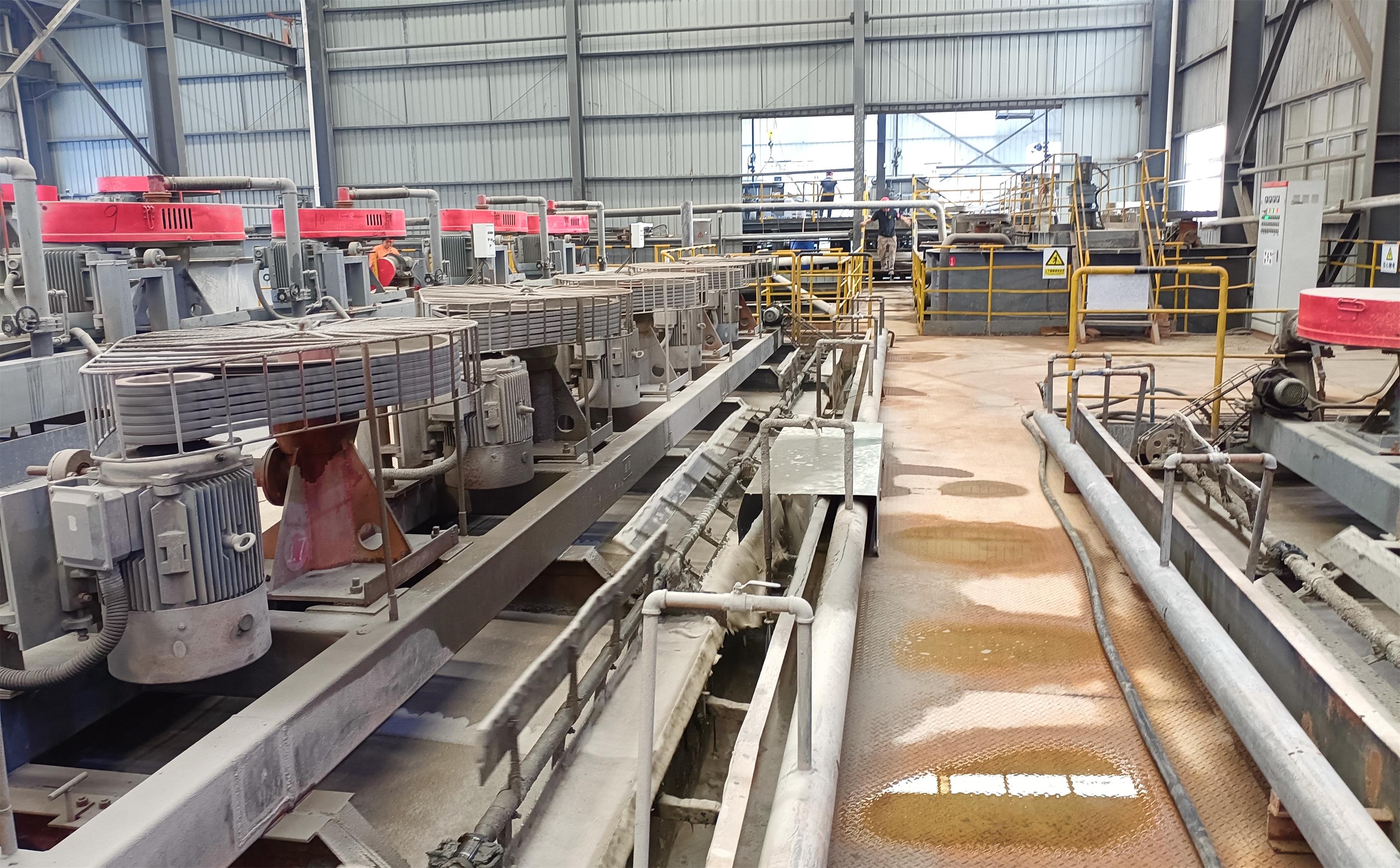Lithium crude ore processing plant